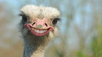 Прикрепленное изображение: maxresdefault.jpg